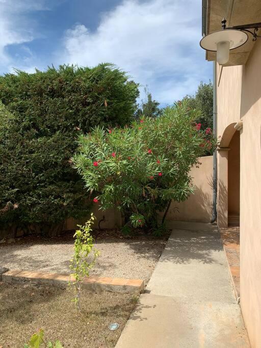 Studio En Rez-De-Jardin Arbore Avec Acces Piscine Et Clim Villeneuve-lès-Avignon Exterior foto